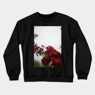 Hidden Mantis Crewneck Sweatshirt